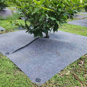 Vải địa phủ gốc cây