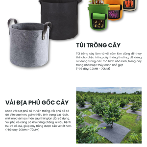 Sản phẩm ngành nông nghiệp